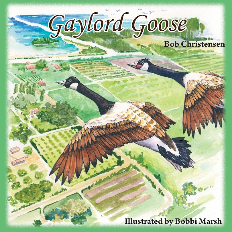 Couverture_Gaylord Goose
