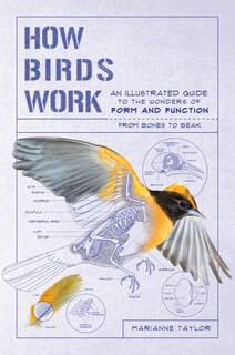 Couverture_How Birds Work