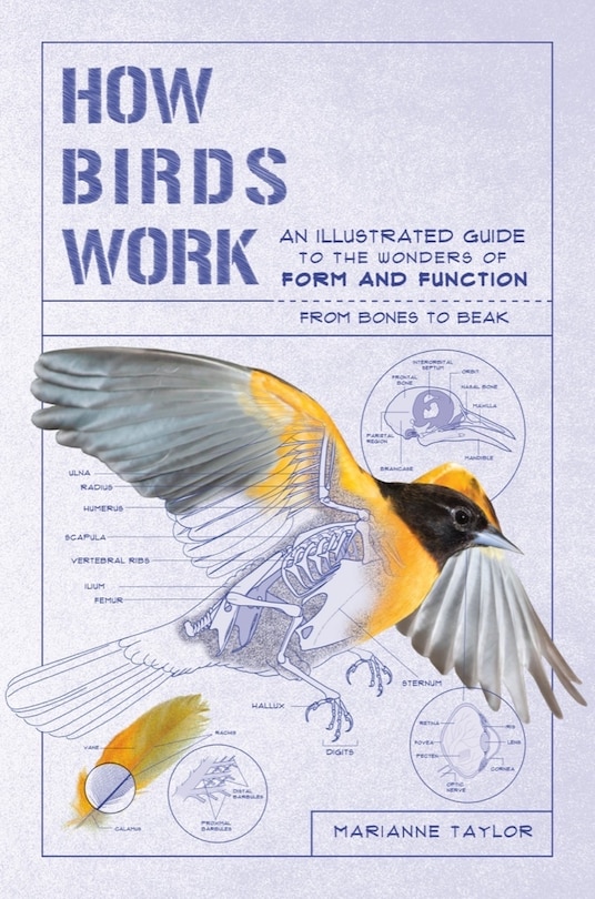 Couverture_How Birds Work