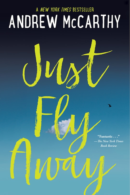 Front cover_Just Fly Away