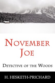 Couverture_November Joe