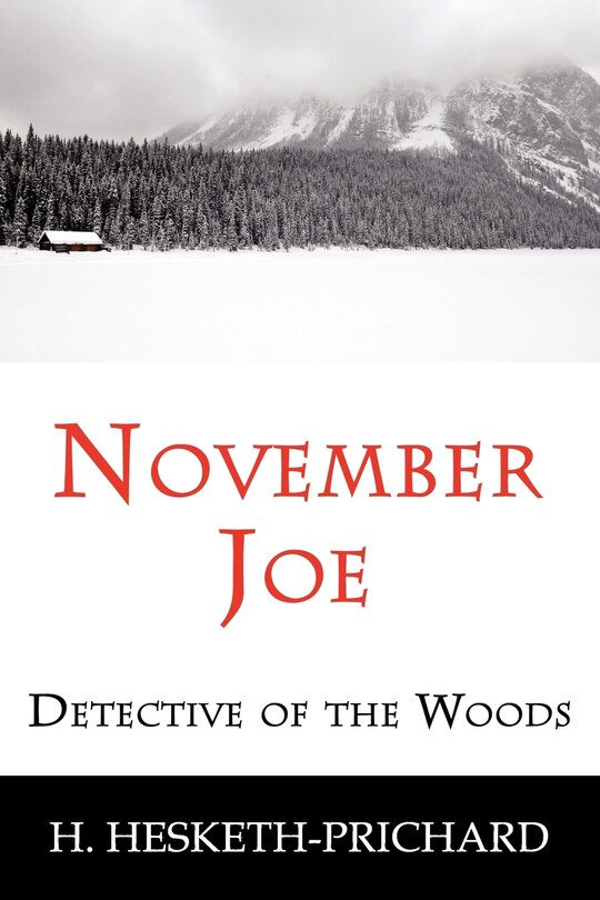 Couverture_November Joe