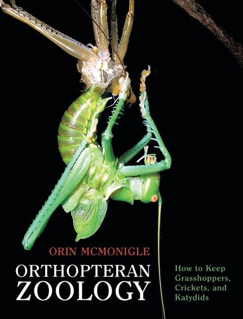 Couverture_Orthopteran Zoology