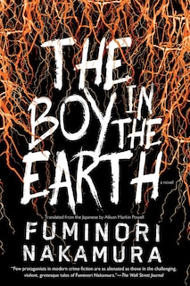 Front cover_The Boy In The Earth