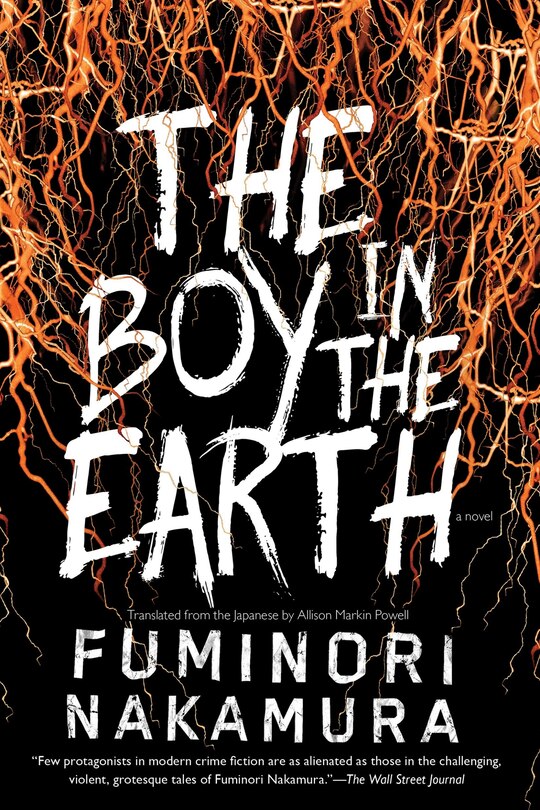 Front cover_The Boy In The Earth