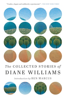 Front cover_The Collected Stories Of Diane Williams