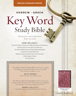 Front cover_The Hebrew-greek Key Word Study Bible