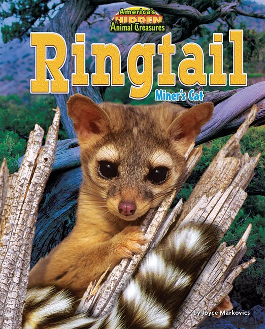 Front cover_Ringtail