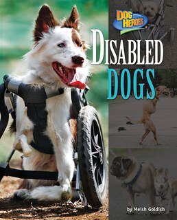Front cover_Disabled Dogs