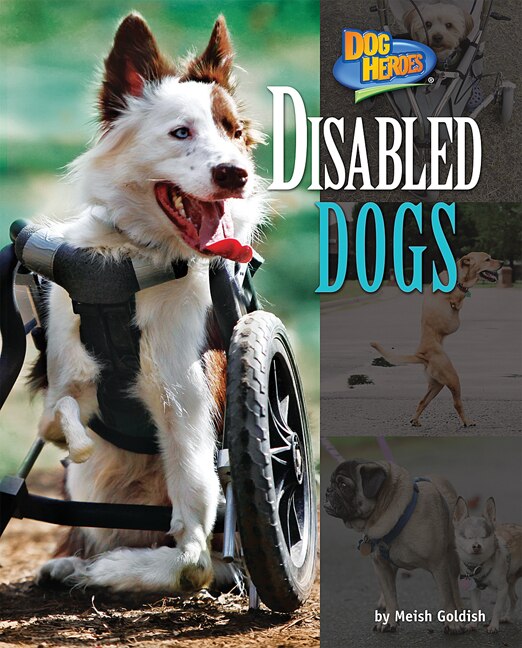 Front cover_Disabled Dogs