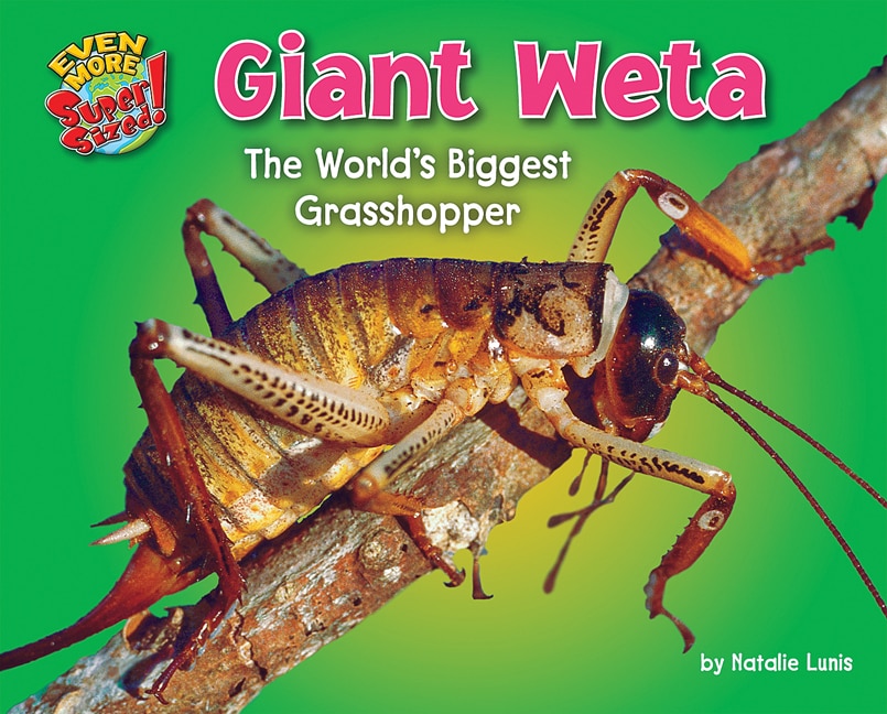 Front cover_Giant Weta
