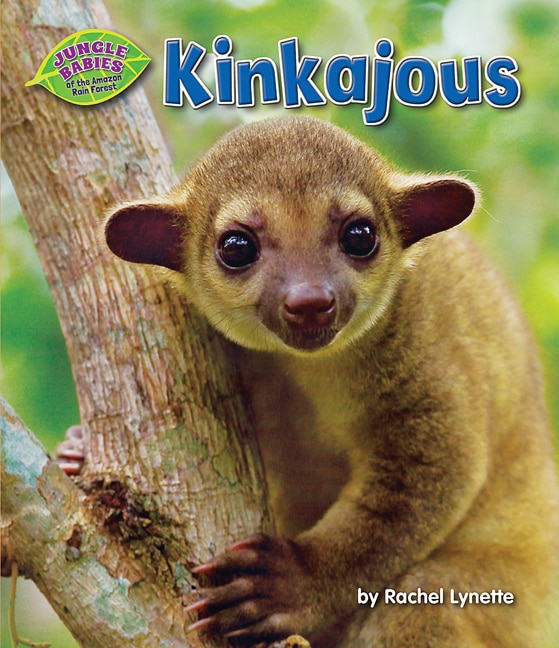 Couverture_Kinkajous