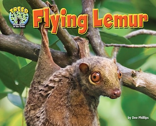 Couverture_Flying Lemur