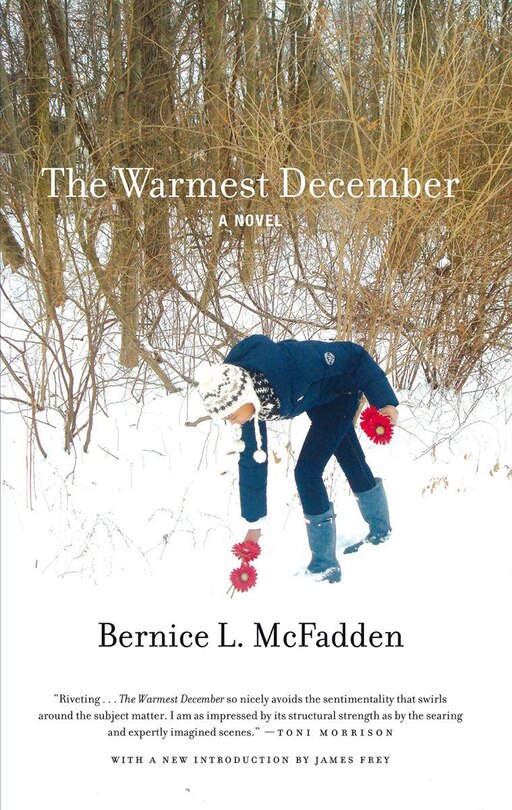 Front cover_The Warmest December