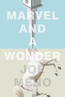 Front cover_Marvel And A Wonder