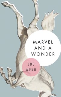 Front cover_Marvel And A Wonder