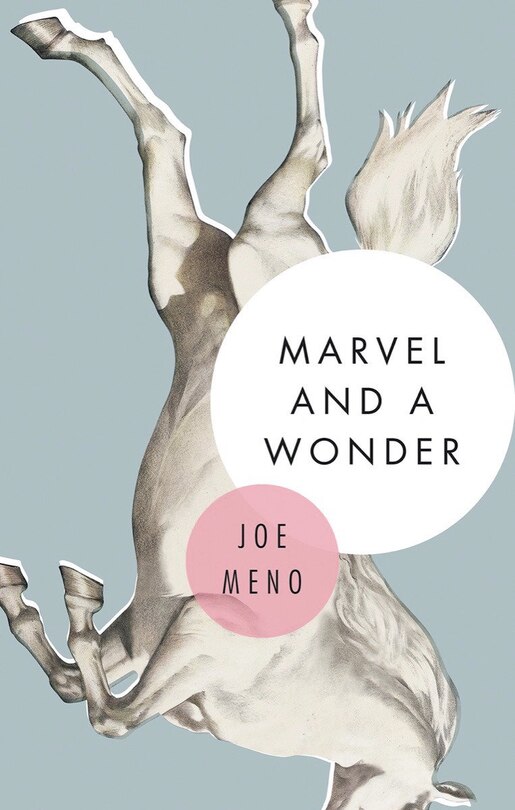 Front cover_Marvel And A Wonder