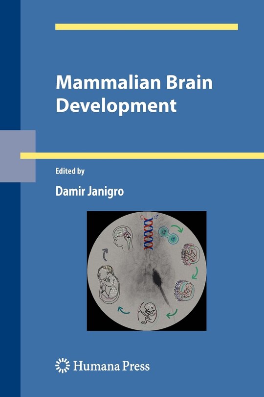 Front cover_Mammalian Brain Development