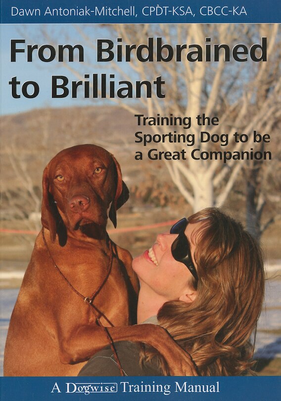 Front cover_From Birdbrained to Brilliant