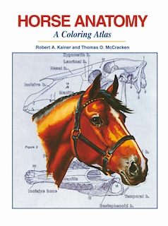 Front cover_Horse Anatomy
