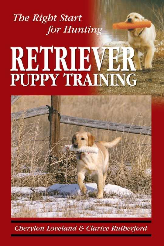 Front cover_Retriever Puppy Training