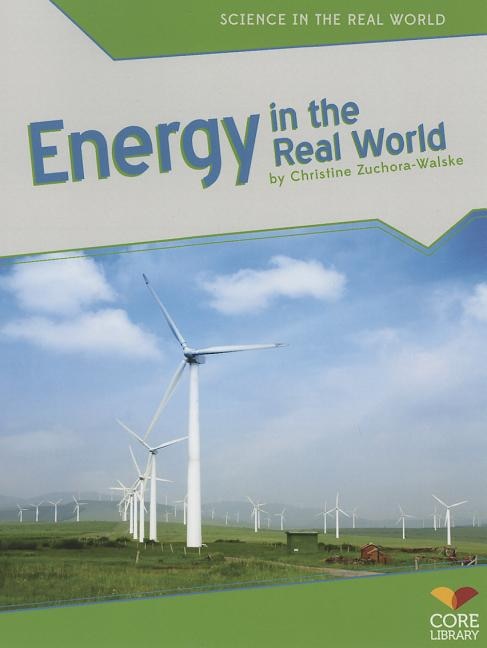 Energy in the Real World