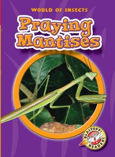 Front cover_Praying Mantises