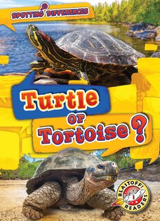 Front cover_Turtle or Tortoise?