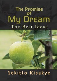 The Promise of My Dream: The Best Ideas