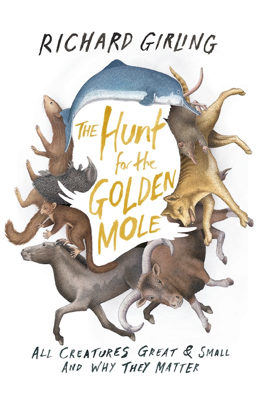 Front cover_The Hunt For The Golden Mole