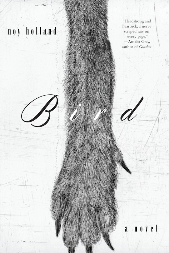 Front cover_Bird