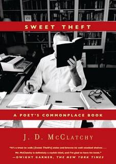 Couverture_Sweet Theft