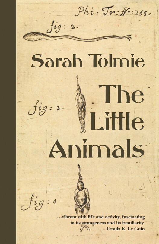 Couverture_The Little Animals