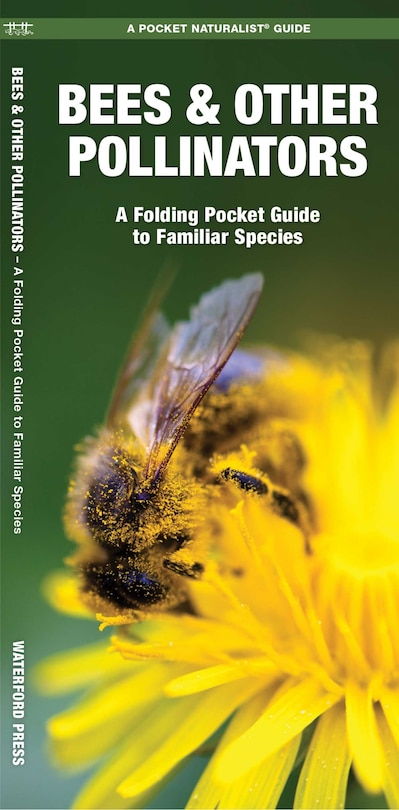 Couverture_Bees & Other Pollinators