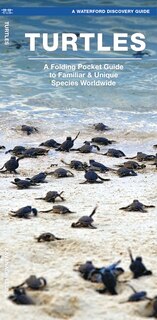 Front cover_Turtles