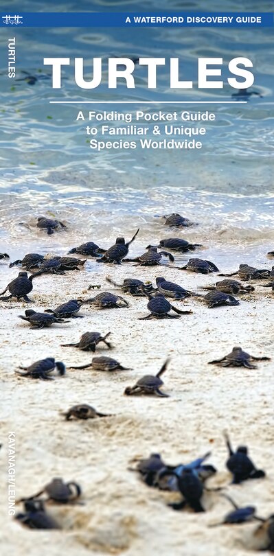 Front cover_Turtles