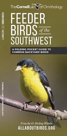 Feeder Birds Of The Southwest: A Folding Pocket Guide To Common Backyard Birds