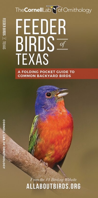 Front cover_Feeder Birds Of Texas