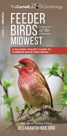 Feeder Birds Of The Midwest: A Folding Pocket Guide To Common Backyard Birds