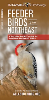 Front cover_Feeder Birds Of The Northeast