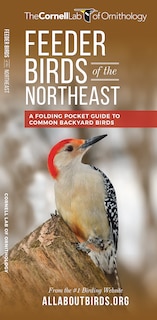 Feeder Birds Of The Northeast: A Folding Pocket Guide To Common Backyard Birds