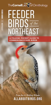 Feeder Birds Of The Northeast: A Folding Pocket Guide To Common Backyard Birds