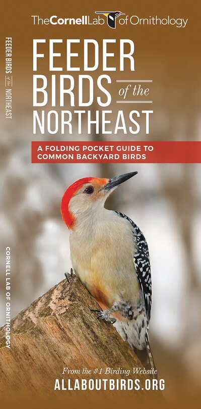 Front cover_Feeder Birds Of The Northeast