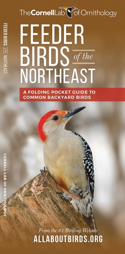 Feeder Birds Of The Northeast: A Folding Pocket Guide To Common Backyard Birds