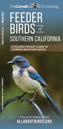 Feeder Birds Of Southern California: A Folding Pocket Guide To Common Backyard Birds