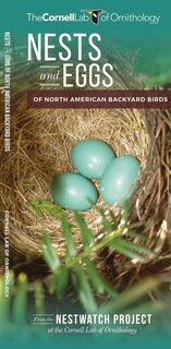 Front cover_Nests And Eggs Of North American Backyard Birds