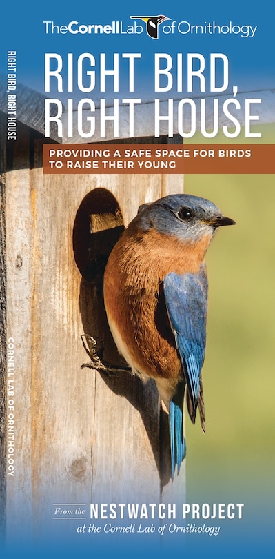 Right Bird, Right House: Providing A Safe Space For Birds To Raise Their Young