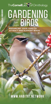 Gardening For Birds: Enhancing Your Yard To Attract And Support Birds