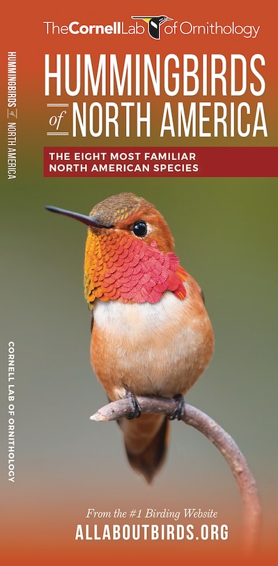 Front cover_Hummingbirds Of North America