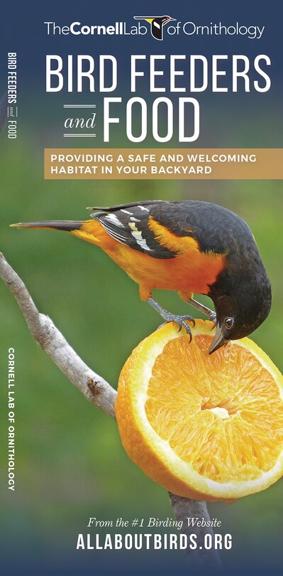 Front cover_Bird Feeders And Food